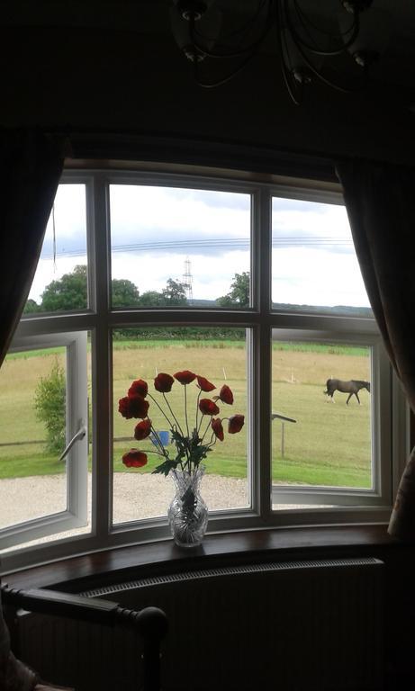 Meadow Farm Cottage Saxlingham Thorpe エクステリア 写真